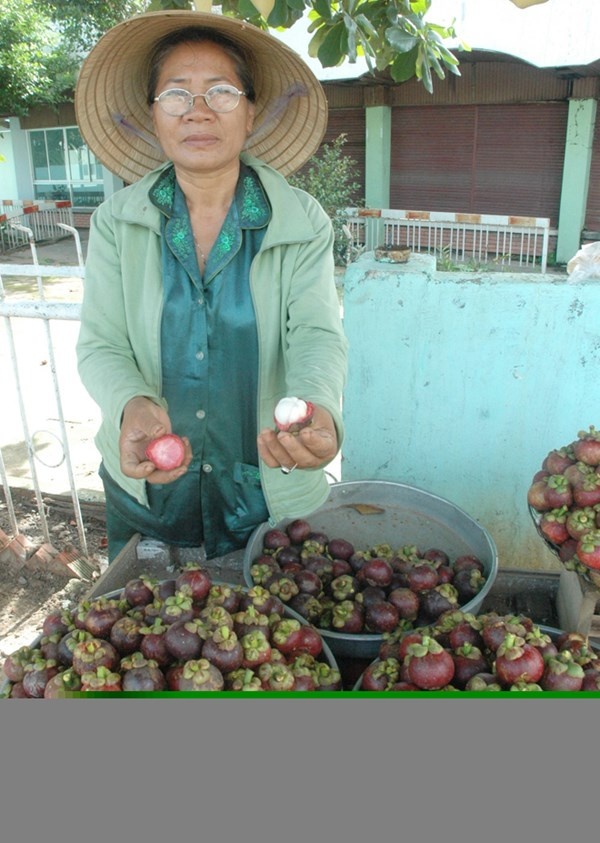 Lai Thieu lieu xieu truoc trai cay ngoai nhap hinh anh