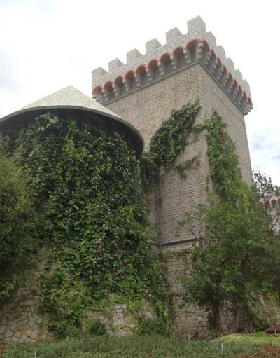 Một góc lâu đài với tháp vuông - tròn phủ kín dây leo.