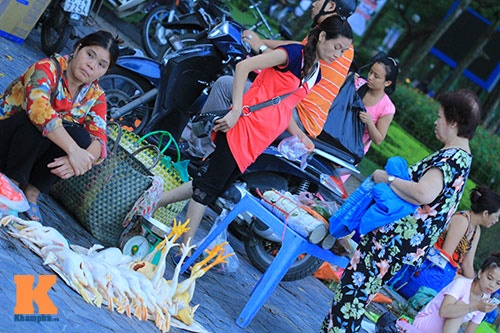 Thực phẩm bày tạm bợ trên các túi nilon...