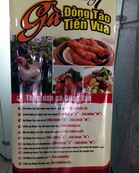 13.	Gần đây nhất, vào đầu tháng 7/2014 thực đơn mới của nhà hàng H.C2 (Nguyễn Chí Thanh, Hà Nội) làm không ít người tròn mắt. Thịt gà Đông Tảo giá hơn 1,1 triệu/kg, chân gà Đông Tảo giá 500.000 đồng/chiếc... 