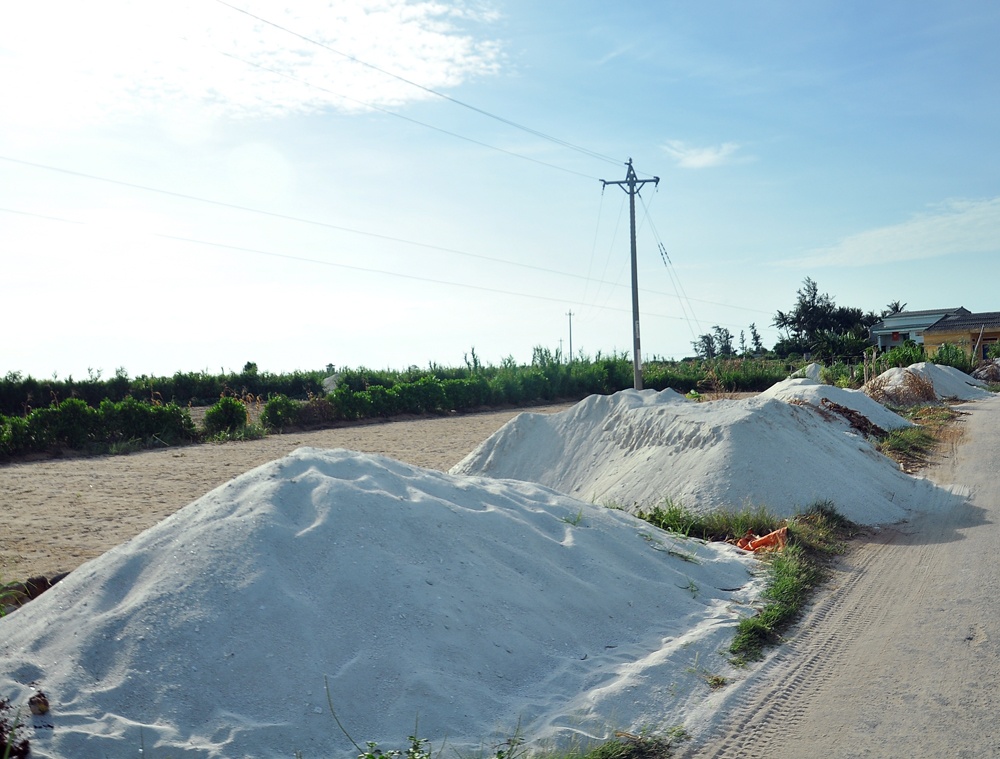 Những ụ cát cắt được đắp khắp các đầu ruộng, sẽ được dùng để trải lên mặt, sau khi người dân đã làm kĩ phần đất nền bên dưới là lớp đất đỏ để nuôi sống cây tỏi.