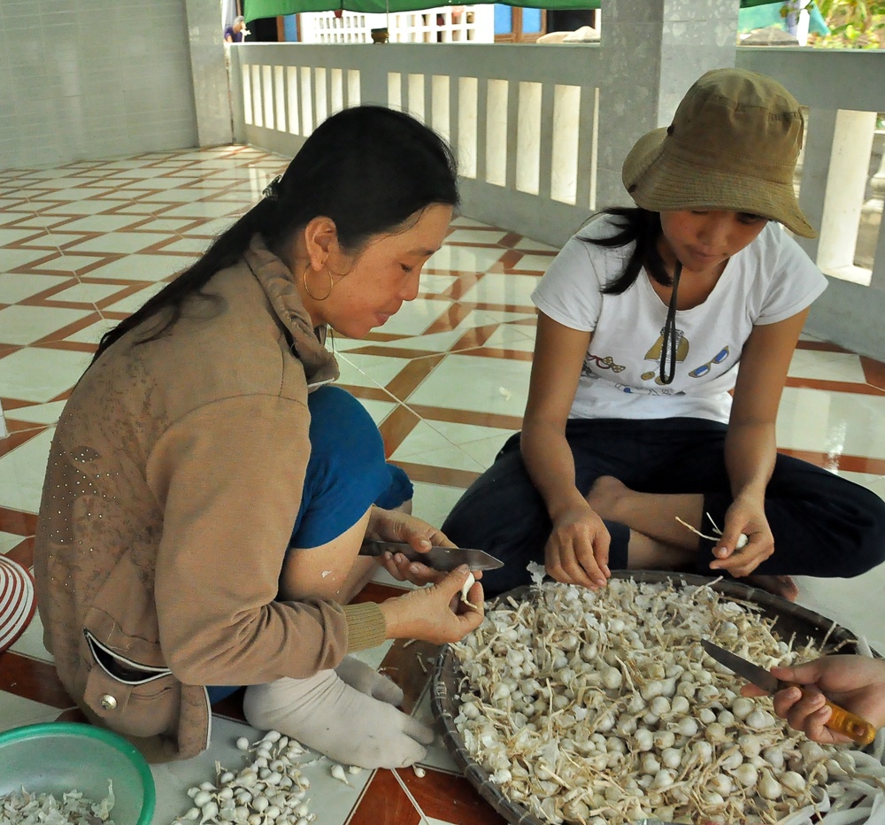 Gia đình chị Thông ở đảo bé, làm tỏi để bán lẻ cho khách.