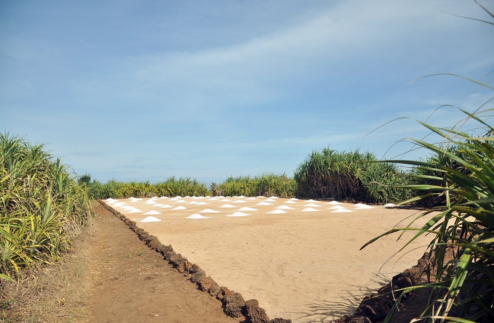 Những luống đất nằm im lìm trên đảo bé chờ ngày gieo trồng tỏi.