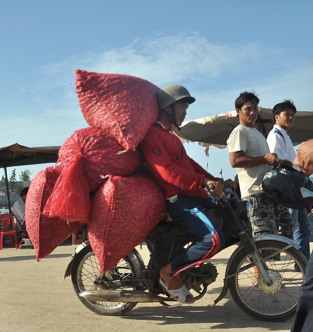 Mua toi trai vu gia 50.000 dong/kg o dao Ly Son hinh anh