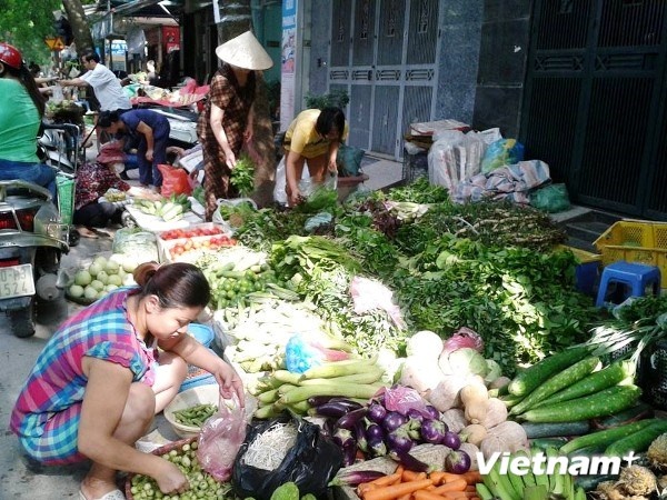 Nguoi Ha Noi do xo di mua thuc pham tich tru phong bao hinh anh