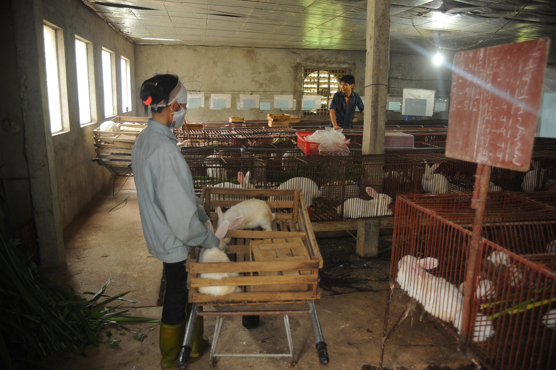 ông Tháp (thứ 2 từ trái sang) trong buổi ký hợp đồng cung cấp thỏ cho công ty Dược phẩm Ni Ponzoki của Nhật Bản.