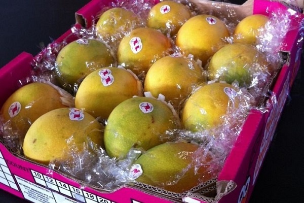 Australia: Khay xoai 12 qua gia hon 1 ty dong hinh anh