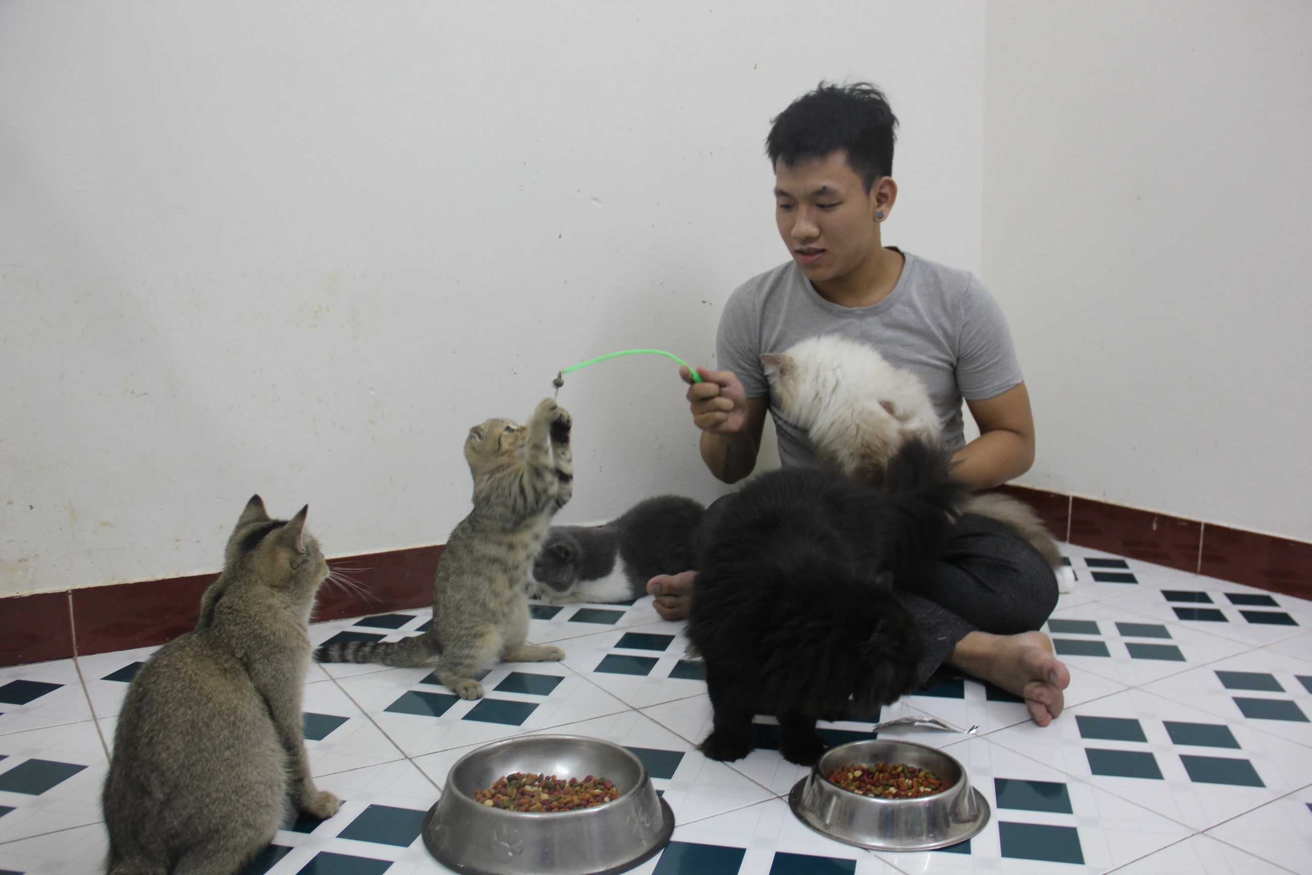 13.	Do số lượng mèo lớn nên Trung phải chia lịch tắm và có thời gian chăm sóc các em mèo.