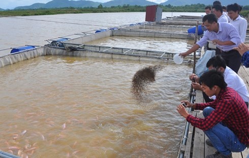Phu Tho: Nuoi ca long, be thu tien ty hinh anh