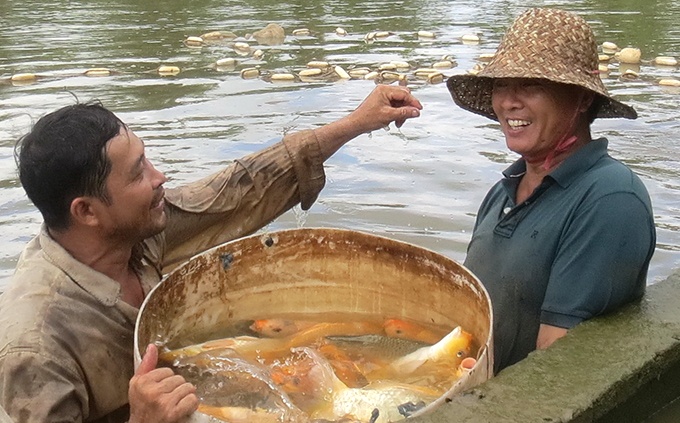 Ông Thập (phải) với những con cá chép giòn vàng ươm.