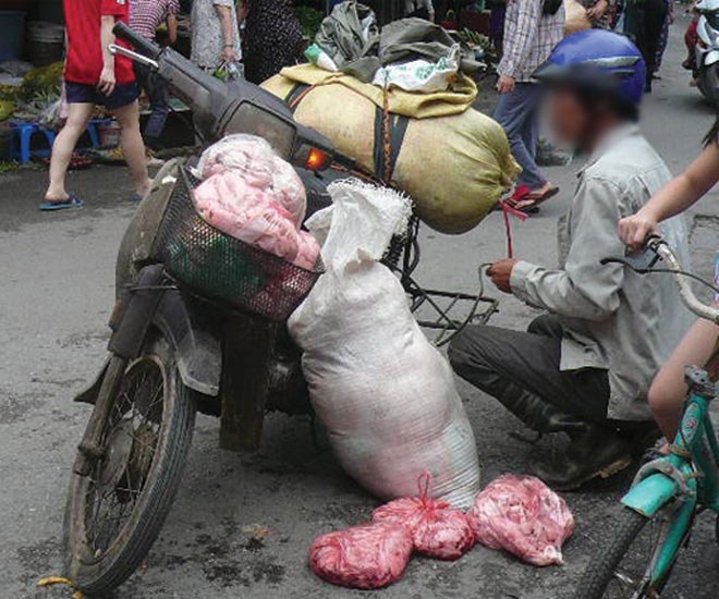 Lo che bien mo thoi 3.000 dong/kg o Hung Yen hinh anh