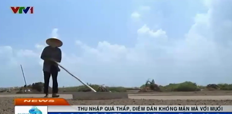 Diem dan khong man ma voi muoi hinh anh