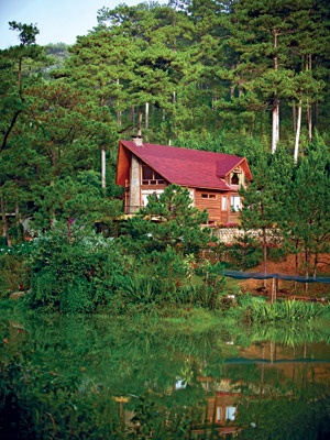 Khu biệt thự gỗ được bao bọc bởi rừng cây xanh.