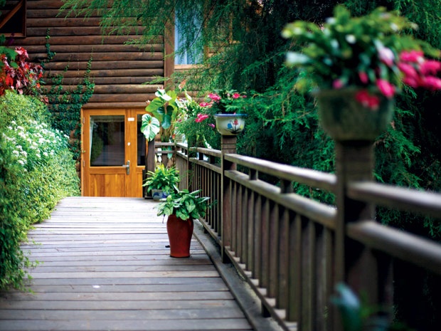 Đường vào ngôi nhà, lan can cầu cũng làm từ gỗ và không gian cây xanh bao phủ.
