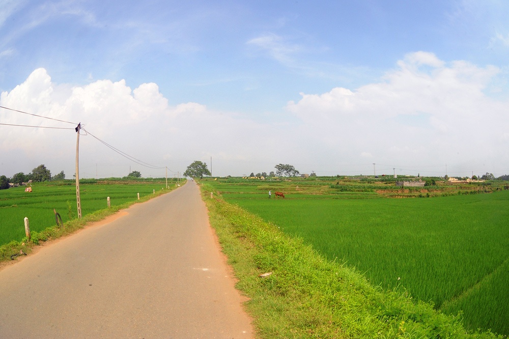 Gò Áng Độ là 1 vùng gò đồi nằm ngoài làng Mông Phụ, vốn là khoảng đất canh tác được xã phân chia cho các hộ gia đình trồng lúa và hoa màu.