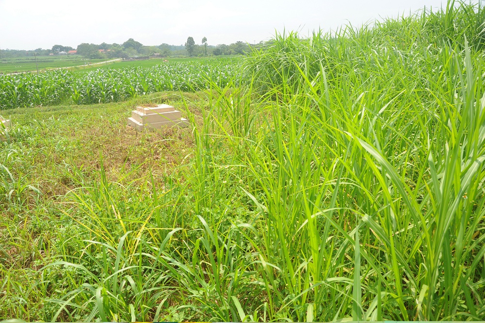 Từ trước đến nay người dân làng Mông Phụ - Đường Lâm vẫn có tập tục an táng người thân đã khuất ngay tại ruộng nhà mình canh tác.  Gò Áng Độ vốn là nơi các gia đình ở Đường Lâm chôn cất người thân đã khuất.