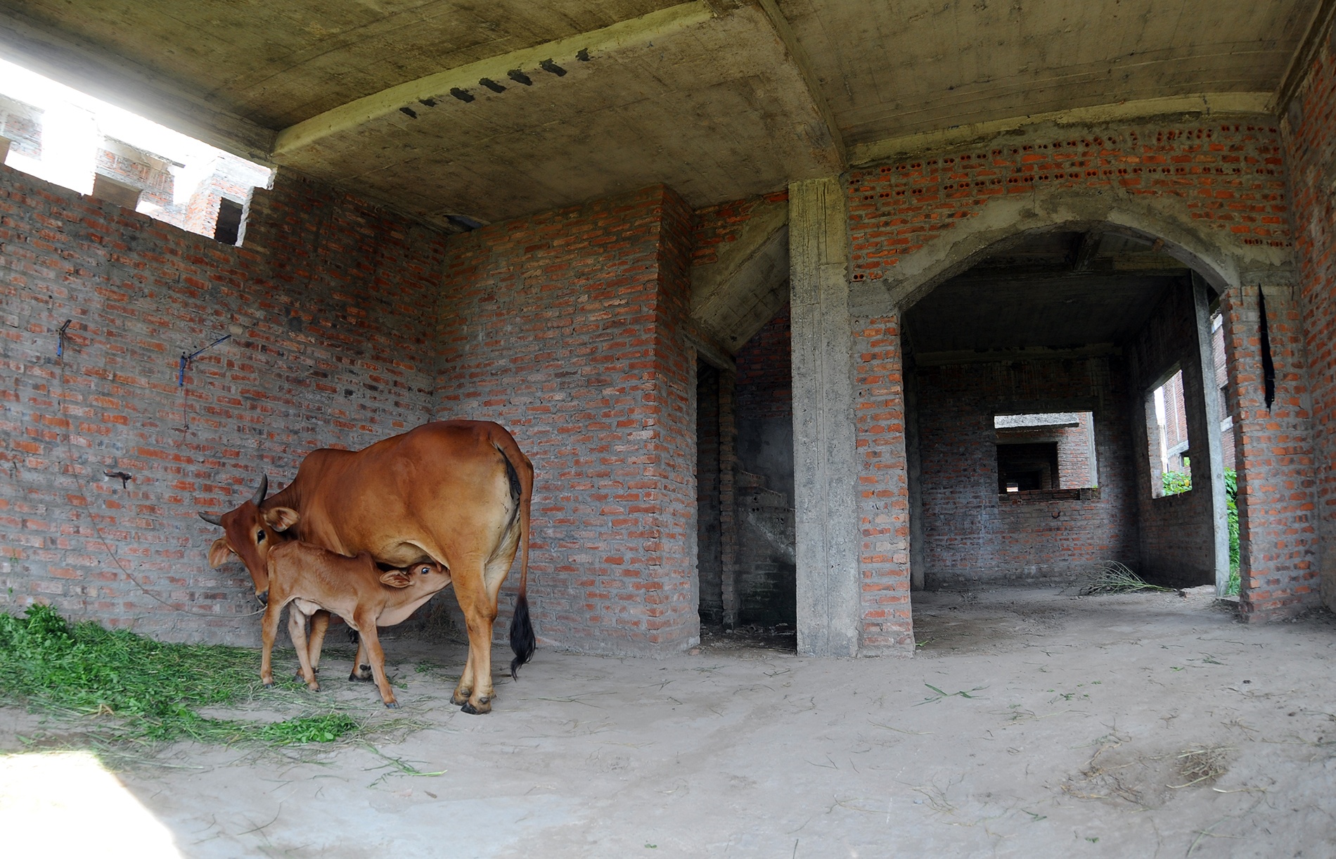 Khu do thi bien thanh chuong bo, nha rac o Ha Noi hinh anh
