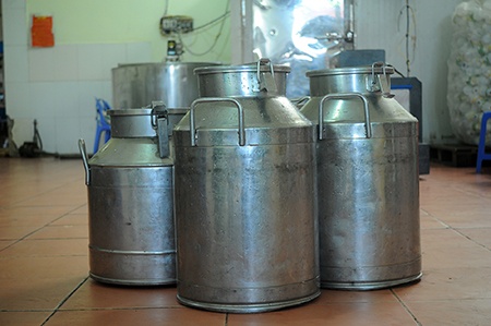 Sữa tươi được thu mua về theo hợp đồng cung cấp từ Trung tâm nghiên cứu Bò & đồng cỏ Ba Vì, được đựng trong các thùng chuyên dụng giúp đảm bảo vệ sinh và nhiệt độ thích hợp.