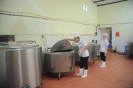 Rồi được chế biến bằng dây chuyền hiện đại từ thanh trùng đến bảo quản.