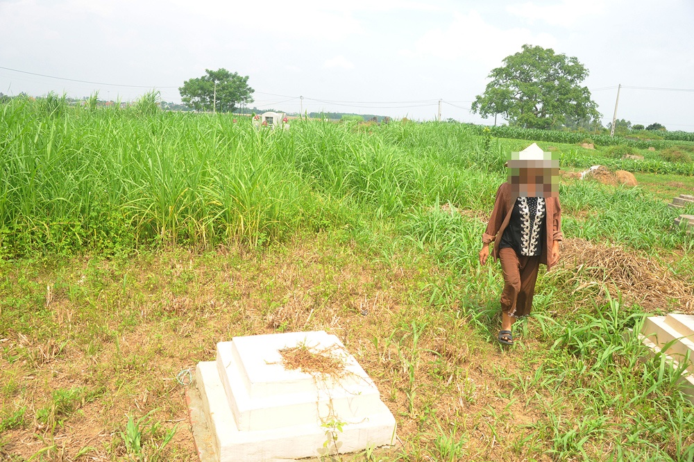 Cũng theo anh Sơn, việc bán đất ruộng cho những người địa phương khác mua để chôn cất người đã khuất đều là tự phát vì không được sự cho phép, thông qua của chính quyền xã Đường Lâm. Viêc buôn bán chủ yếu dựa trên thỏa thuận riêng của người mua và người bán. Các gia đình có đất bán đều lấy cớ là người thân ở tỉnh xa có nhu cầu được an táng tại quê hương để hợp thức hóa việc này.
