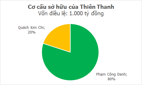 Cơ cấu sở hữu của Thiên Thanh.