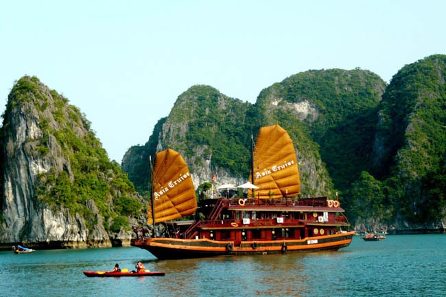 Chuyen gia ung ho de tu nhan quan ly Vinh Ha Long hinh anh