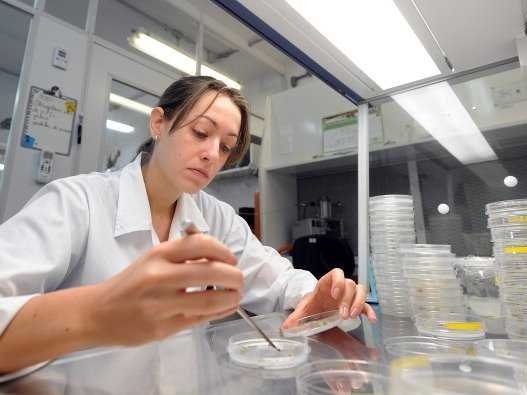 4. Nhà khoa học thực phẩm Sức chịu áp lực: 55.8 Mức lương trung bình hàng năm: <abbr class=