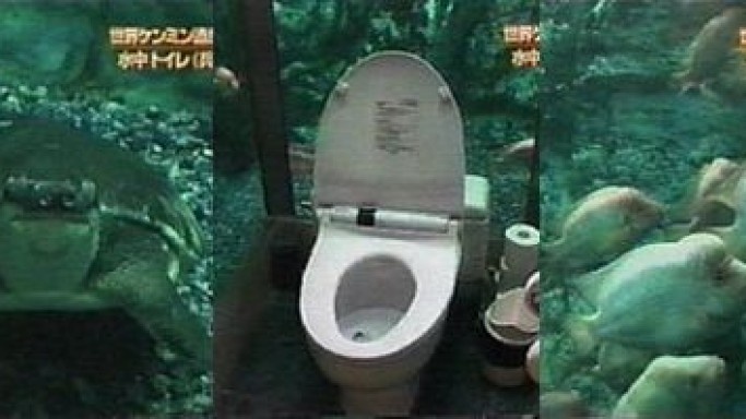 Nha ve sinh xa xi giua be ca khong lo o Nhat Ban hinh anh