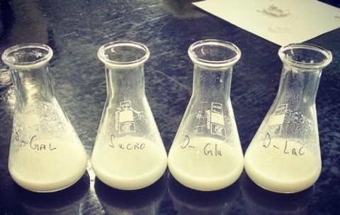 Da dieu che thanh cong sua bo nhan tao hinh anh