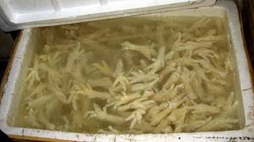 Chân gà được xả đông trong thùng xốp chứa hóa chất.