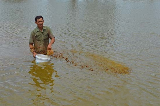 'Vua tom' Vo Hong Ngoan: Nuoi tom an toan sinh hoc tu ba mia hinh anh