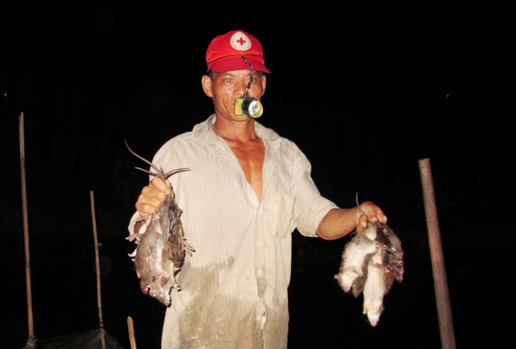 Nhung tho san chuot thu tien trieu moi dem o mien Tay hinh anh