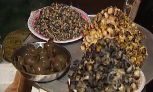 Nhung dac san truyen benh viem nao hinh anh