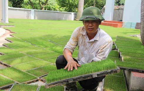 'Ga khung' danh thuc ruong hoang hinh anh