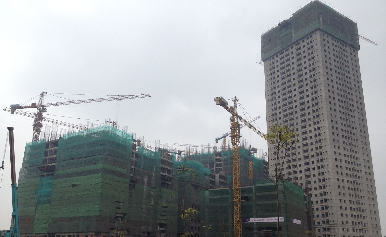 Thanh tra cac du an cua ‘dai gia dieu cay’ hinh anh