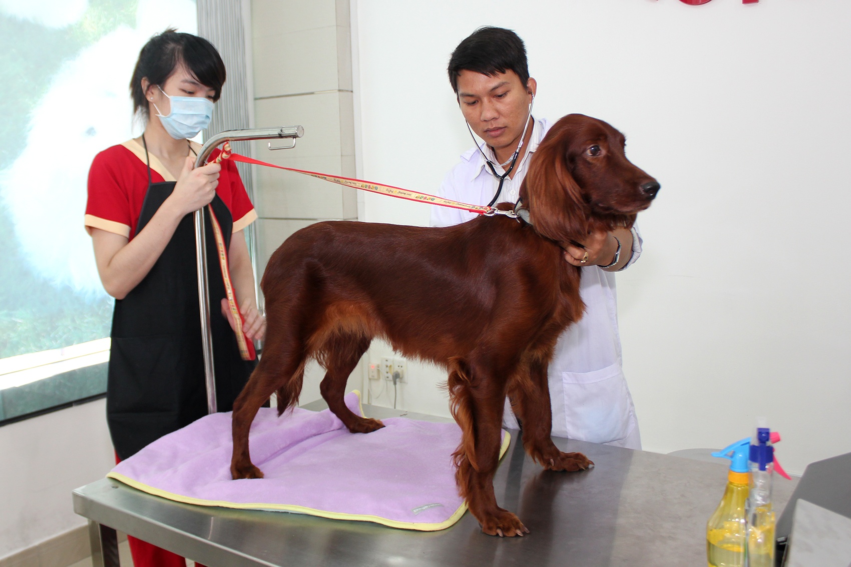 'Khach san' 5 sao cho thu cung doc nhat Viet Nam hinh anh