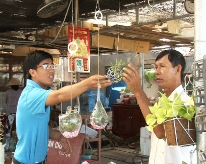 Lang hoa Sa Dec xuat hien 'cay khong khi' gia 50.000 dong hinh anh