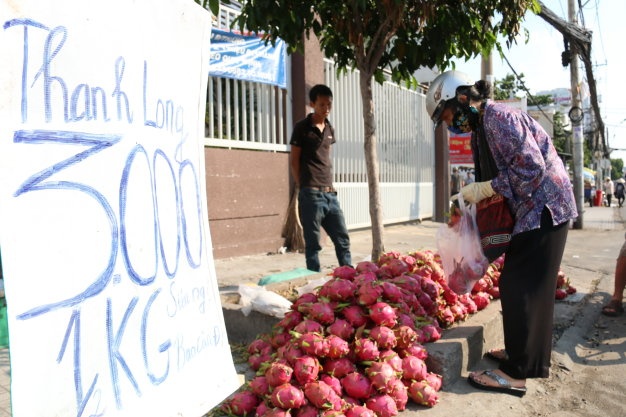 Khung hoang thanh long hinh anh