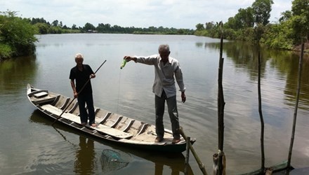 Mo vang o 'canh dong cho ngap' hinh anh