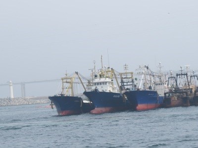 Dai gia xin vay ngan ty mua tau ca nat: Xin uu dai qua da? hinh anh