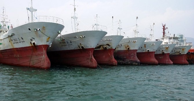Chong dai gia Dieu Hien muon dong tau thep, nhap may bay hinh anh