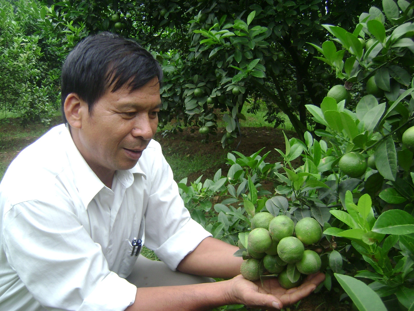 Thu gan nua ty dong tu 8 sao chanh dao hinh anh