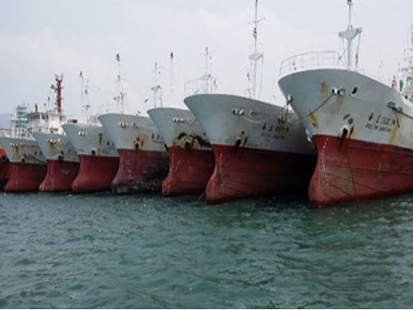 Bac de xuat nhap tau cu cua 2 dai gia Duc Khai va Tri Viet hinh anh