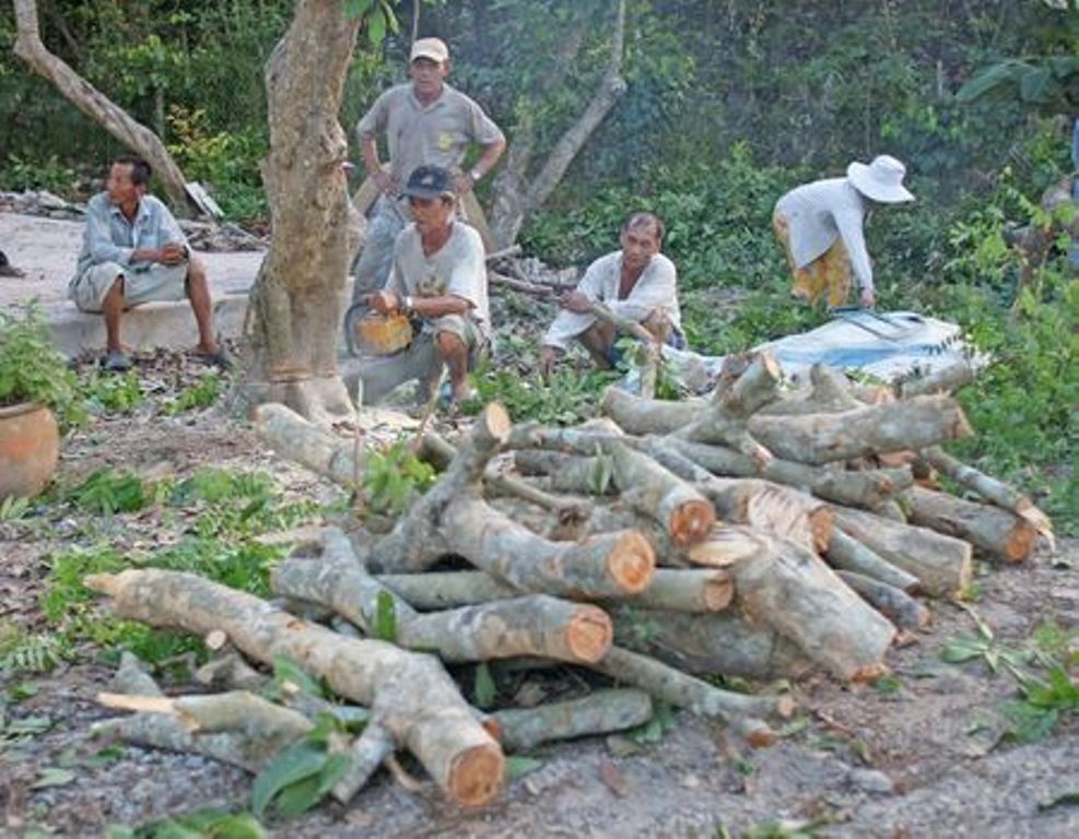 Nhung trai cay dac san khien dan mien Tay lao dao hinh anh