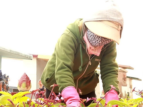 Nhung phu nu muu sinh bang nghe 'osin' nghia trang hinh anh