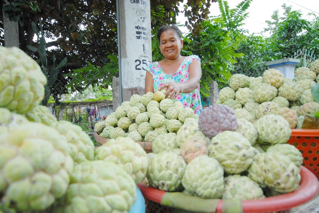 Nguoi dan Khmer mien Tay thu loi tu mang cau trong tren nui hinh anh