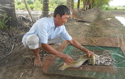 'Ty phu' ca chinh Dat Mui hinh anh