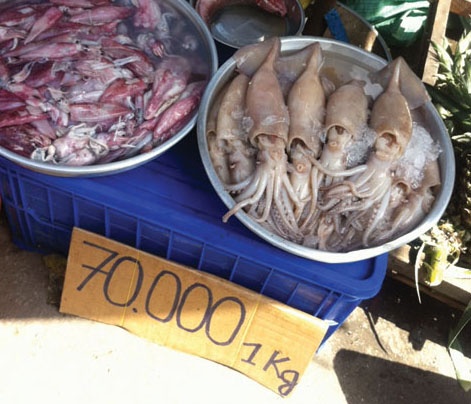 Muc la tran ve Sai Gon, mien Tay hinh anh