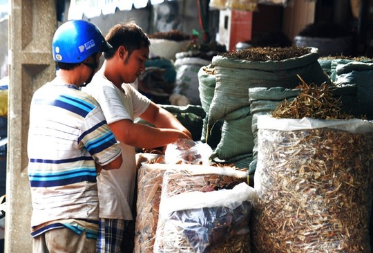 Pho kinh doanh thuoc Bac lon nhat Sai Gon hinh anh