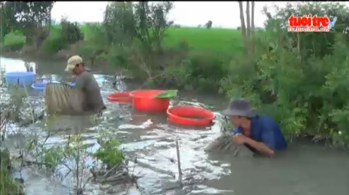 Lam giau tu bat 'trun chi' hinh anh